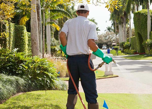About Osgood OH Pest Control